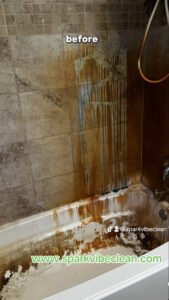 Before Bathroom Wall Tiles cleaned