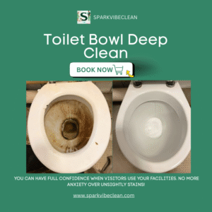 Toilet Bowl Deep Clean
