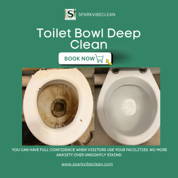 Toilet Bowl Deep Clean